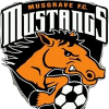 Musgrave Mustangs B