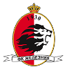 Zeleznik U19