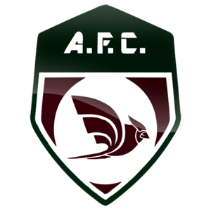Flamengo de Arcoverde