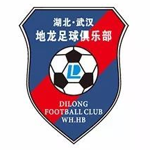 Wuhan Dilong TGU Futsal