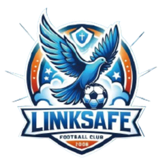 Ji'nan Linksafe