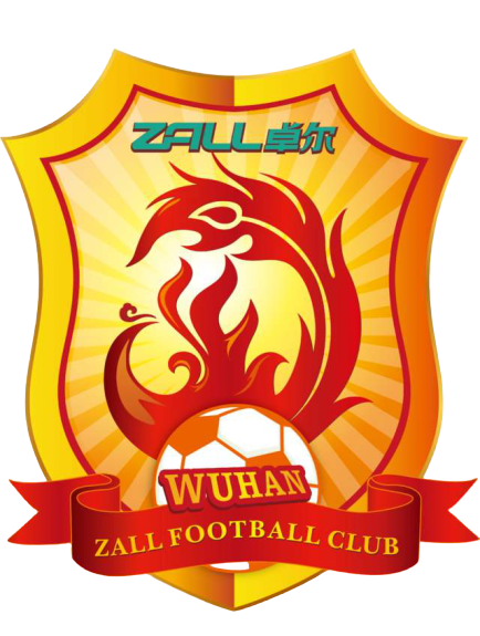 Wuhan Zall Football Club Of White Team