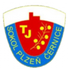 TJ Sokol Cernice