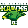 Mount Gravatt Hawks SC (R)