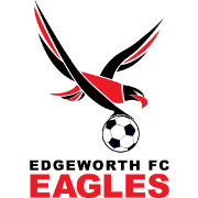 Ai Gee Wolf Hawks