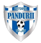 ACS Viitorul Pandurii Targu Jiu U19