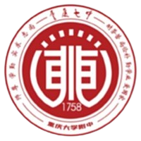 Chongqing No. 7 Middle School Dongchuan U13