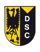 VV Diepenveen Youth